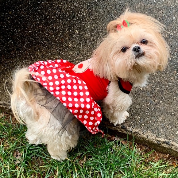 Dog Reindeer Dress - S - Picture 2 of 5